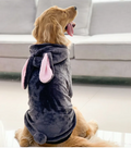 Tiger Pup Golden Retriever Costume