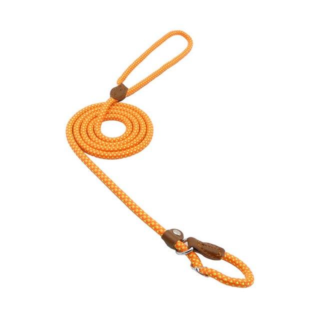 Matching Collar &amp; Lead Set — 7 Colours, 4 Sizes