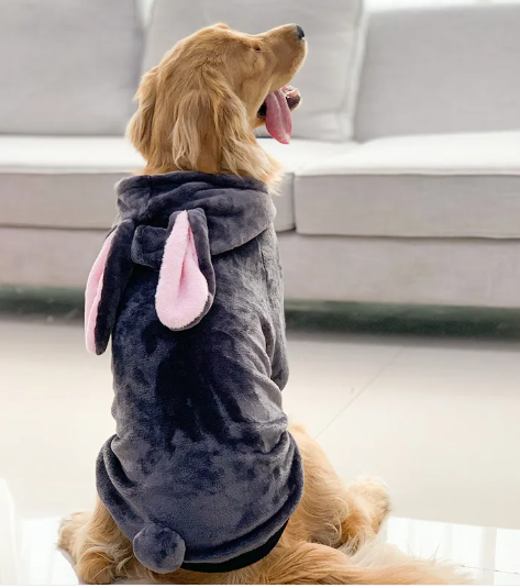 Tiger Pup Golden Retriever Costume