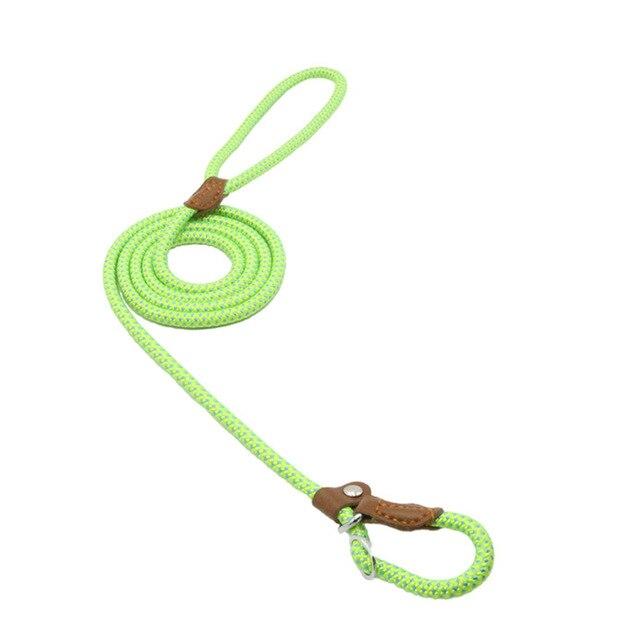 Matching Collar &amp; Lead Set — 7 Colours, 4 Sizes