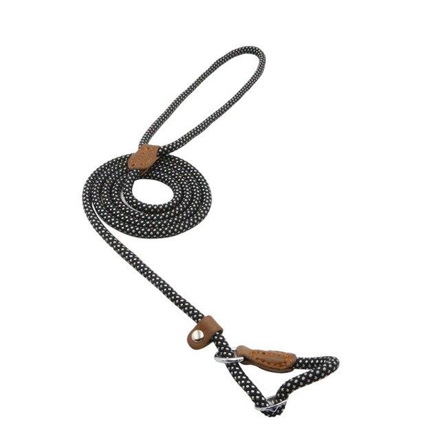 Matching Collar &amp; Lead Set — 7 Colours, 4 Sizes