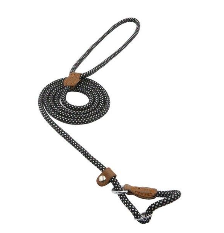 Matching Collar &amp; Lead Set — 7 Colours, 4 Sizes