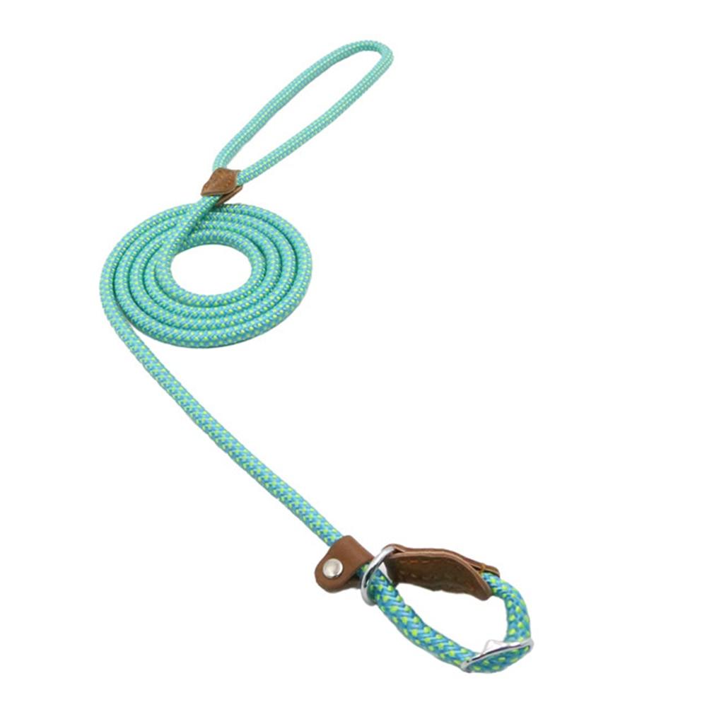 Matching Collar &amp; Lead Set — 7 Colours, 4 Sizes