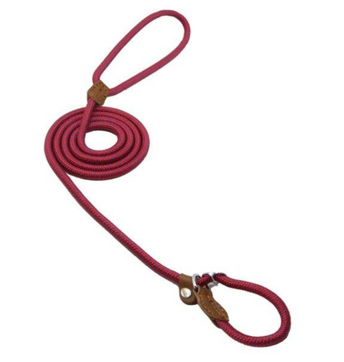 Matching Collar &amp; Lead Set — 7 Colours, 4 Sizes