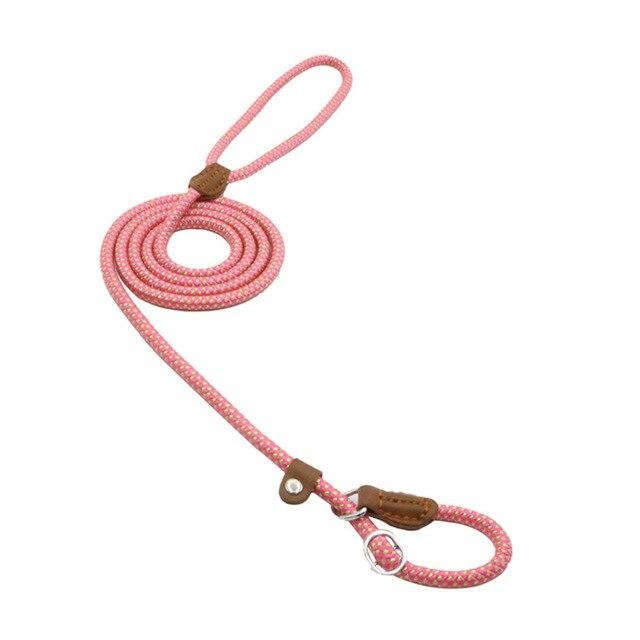 Matching Collar &amp; Lead Set — 7 Colours, 4 Sizes