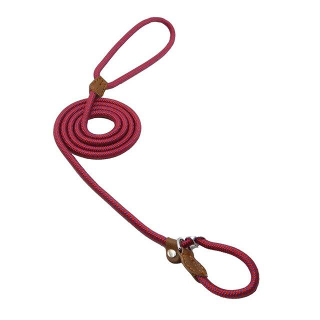 Matching Collar &amp; Lead Set — 7 Colours, 4 Sizes